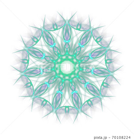 美しい十一角形(背景透過PNG)　20201004_017 70108224