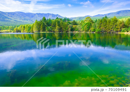 八千穂レイク 70109491