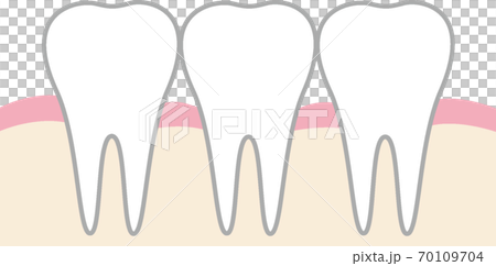 Illustration of teeth 70109704