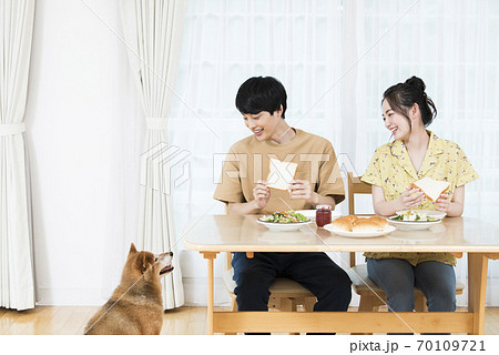 人間の食事を欲しがる犬 人間の食事を欲しがる犬 70109721