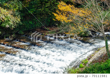 湯平温泉(大分県由布市)花合野川の紅葉 湯平温泉(大分県由布市)花合野川の紅葉 70111981