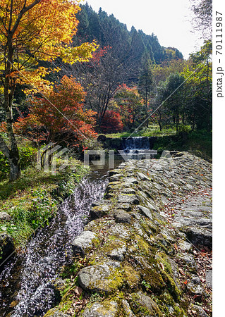 湯平温泉(大分県由布市)花合野川の紅葉 湯平温泉(大分県由布市)花合野川の紅葉 70111987