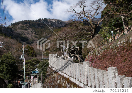 大山参道 70112012