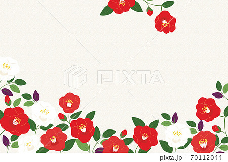紅白の椿の花の背景イラストのイラスト素材