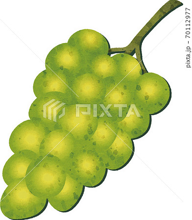 秋　果物　ぶどう　マスカット　水彩　イラスト素材 70112977