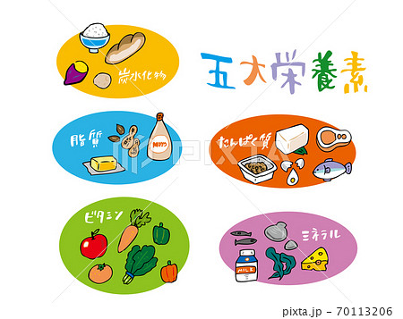 5大栄養素 イラストのイラスト素材