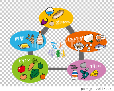 5大栄養素 イラスト 五角形グラフのイラスト素材