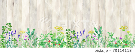 木のフェンスを背景にしたハーブガーデンの水彩イラスト 壁紙 シームレスパターン のイラスト素材