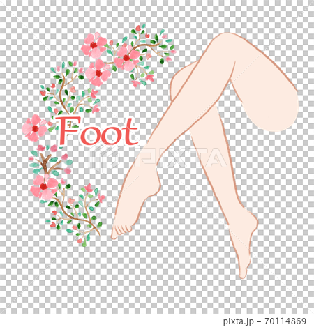 美脚のカットラスト 70114869