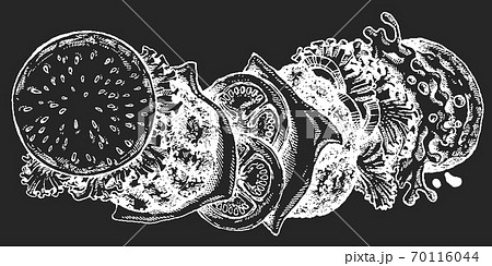 Burger. Vector illustration for menu, restaurant, internet food delivery. Sandwich with ham, beef, bread. American fast food. 70116044