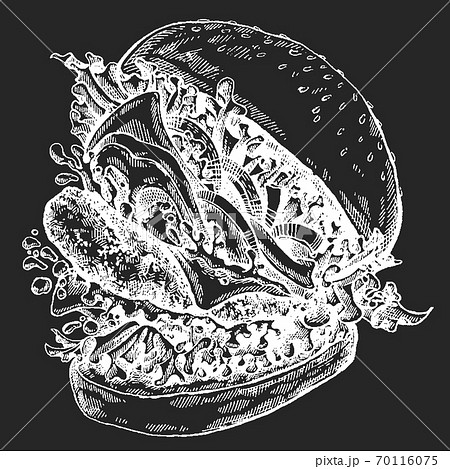 Burger. Vector illustration for menu, restaurant, internet food delivery. Sandwich with ham, beef, bread. American fast food. 70116075