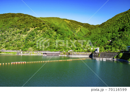 夏の奥多摩湖 湖面と北岸の山々を望む 夏の奥多摩湖 湖面と北岸の山々を望む 70116599