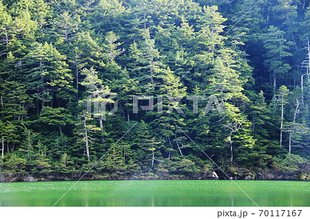初秋の北八ヶ岳 神秘的な双子池 雌池 初秋の北八ヶ岳 神秘的な双子池 雌池 70117167