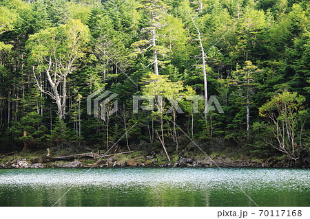 初秋の北八ヶ岳　神秘的な双子池　雌池 70117168