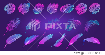 Neon Tropic Leaves Set, Vector Tropical Summer vibrant purple template, Banana, Monstera, Palm Leaf 70118519