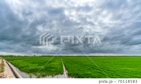 Track and irrigation ditch near rice fields in Valencia Track and irrigation ditch near rice fields in Valencia 70118583