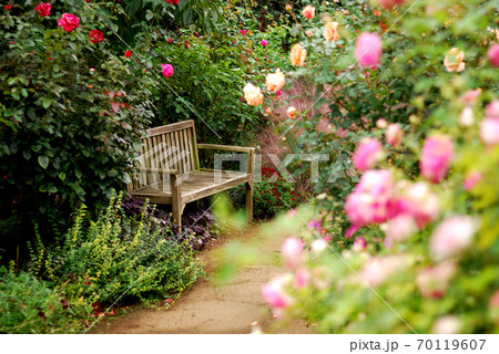 庭園のベンチ 群馬県館林市 東武トレジャーガーデン の写真素材