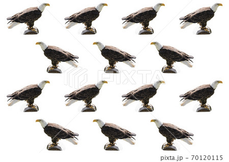 Background with the composition of bald eagles symbol of the USA Background with the composition of bald eagles symbol of the USA 70120115