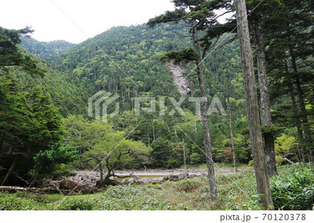 初秋の北八ヶ岳　亀甲池 70120378