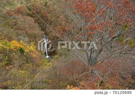 秋の那須高原　駒止の滝 70120690