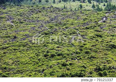 初秋の北八ヶ岳 北横岳登山道から坪庭を望む 初秋の北八ヶ岳 北横岳登山道から坪庭を望む 70121337