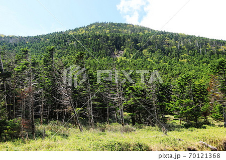 初秋の北八ヶ岳 縞枯山荘から縞枯山を望む 初秋の北八ヶ岳 縞枯山荘から縞枯山を望む 70121368
