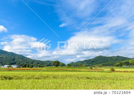 京都府・亀岡　秋の田園風景 70121604
