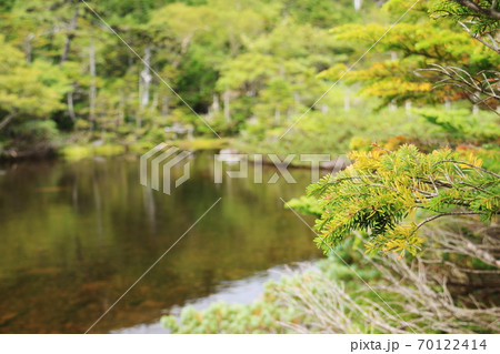 初秋の北八ヶ岳 北横岳 静寂の中の七ツ池 初秋の北八ヶ岳 北横岳 静寂の中の七ツ池 70122414