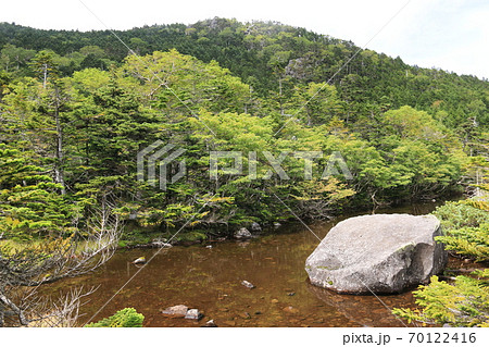 初秋の北八ヶ岳 北横岳 静寂の中の七ツ池 初秋の北八ヶ岳 北横岳 静寂の中の七ツ池 70122416