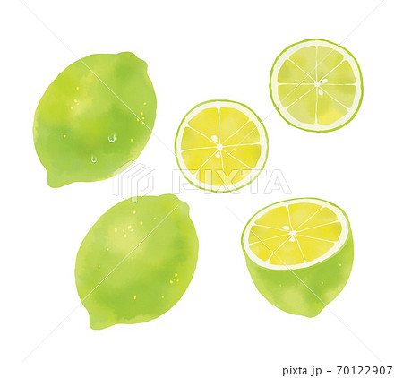 水彩タッチのフルーツイラスト グリーンレモンのイラスト素材 のイラスト素材