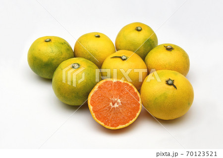 みかん(早味かん) みかん(早味かん) 70123521