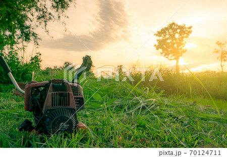 Shoulder type grass cutting machine. Lawn mower engine. Weed and grass mowing with petrol lawn mower in the morning with sunrise sky at rice farm. Cutting green grass for feed livestock in Thailand. 70124711