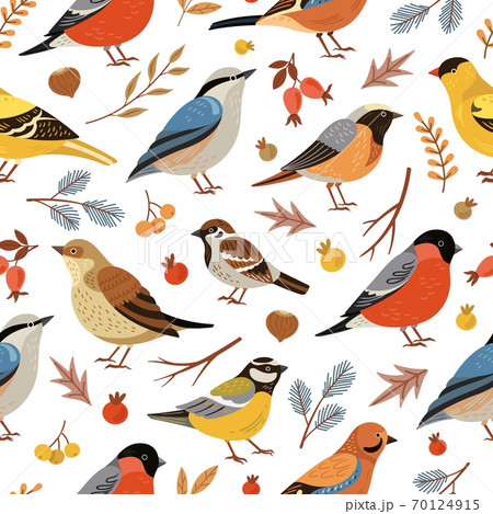 Forest winter birds pattern. Forest animal background, flat snowy tree branches. Holiday bullfinch leaves berries, wildlife vector texture 70124915