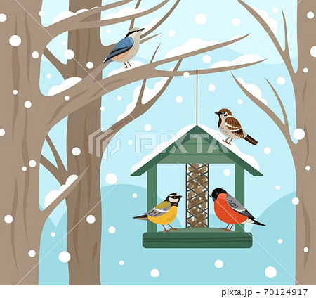Winter feeder. Snow woodland, birds food on tree poster. Feeding wild animals on nature, flat bullfinch chickadee robin vector illustration 70124917