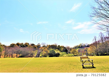 岸和田・蜻蛉池公園春の風景 岸和田・蜻蛉池公園春の風景 70125082