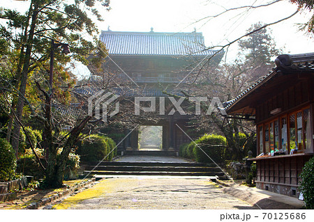 雨上がりの早朝　朝もやに包まれる東光寺の三門 70125686