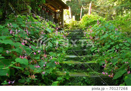 秩父散歩：秩父三十四番札所　日沢山・水潜寺　曹洞宗 70127268
