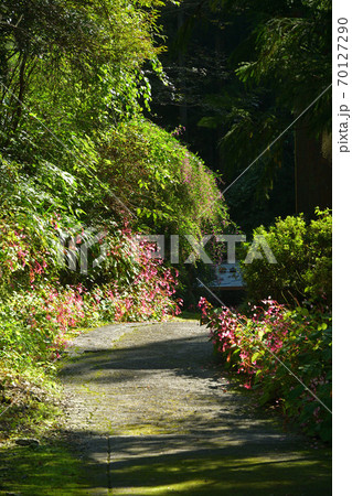 秩父散歩:秩父三十四番札所 日沢山・水潜寺 曹洞宗 秩父散歩:秩父三十四番札所 日沢山・水潜寺 曹洞宗 70127290