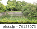 いこいの広場　水鳥の池　pond 70128073
