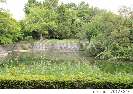 いこいの広場　水鳥の池　pond 70128073