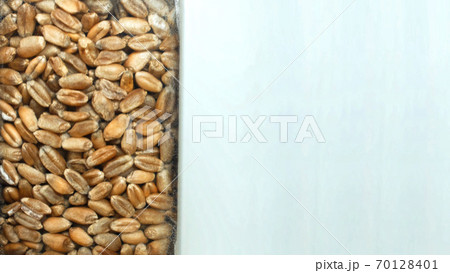 Grain processing at the plant. Drying and storage concept for bread grain, copy space for text Grain processing at the plant. Drying and storage concept for bread grain, copy space for text 70128401