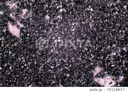 The contents of the water filter are protected against chlorine and unpleasant odors. Effective water purification from harmful impurities, post-carbon, macro photography 70128657