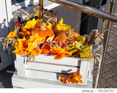 White beautiful wooden box with orange maple leaves and pumpkins. Cereal spikelets, concept of harvesting and autumn, background White beautiful wooden box with orange maple leaves and pumpkins. Cereal spikelets, concept of harvesting and autumn, background 70128722
