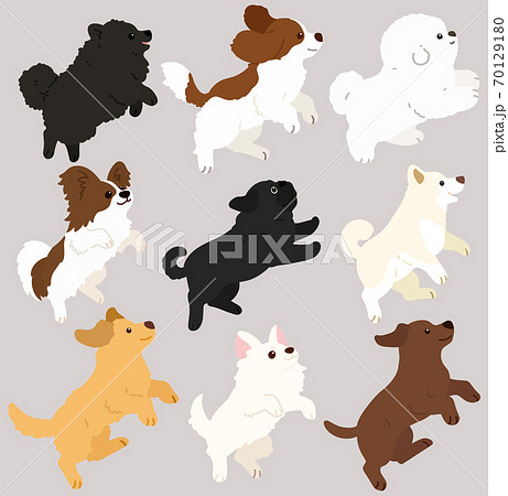 ジャンプする色々な犬のシンプルで可愛いイラスト セットc 主線なしのイラスト素材
