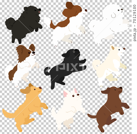 ジャンプする色々な犬のシンプルで可愛いイラスト セットc 主線なしのイラスト素材 70129180 Pixta