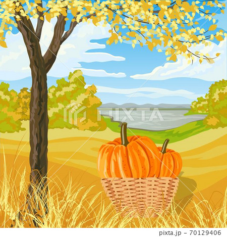 Autumn landscape with yellow meadow, trees, lake and big pumpkins in a basket Autumn landscape with yellow meadow, trees, lake and big pumpkins in a basket 70129406