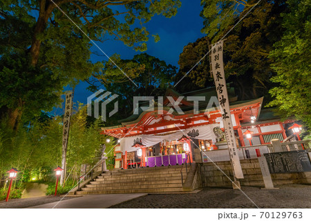 静岡県熱海市　来宮神社　夜のライトアップ 70129763