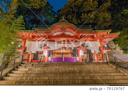 静岡県熱海市　来宮神社　夜のライトアップ 70129767