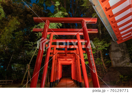 静岡県熱海市　来宮神社　夜のライトアップ 70129771