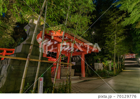 静岡県熱海市　来宮神社　夜のライトアップ 70129776